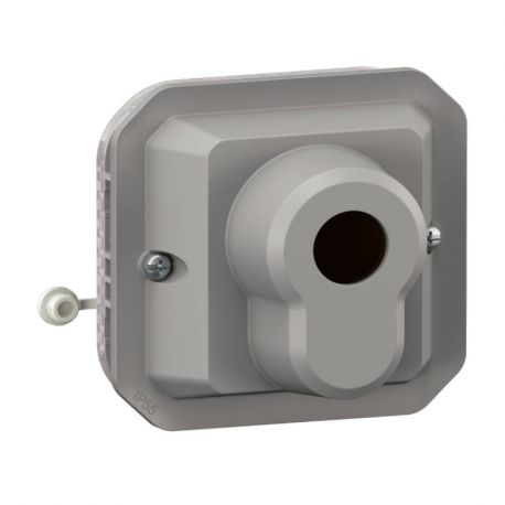 Poussoir inverseur à clé Plexo Legrand - 3 positions - IP55 - 250V - A composer - Gris
