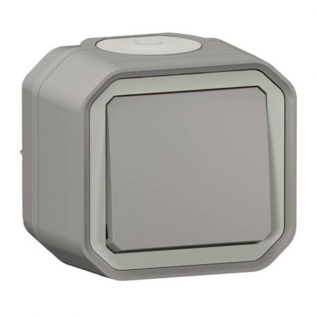 Va-et-vient étanche Plexo Legrand - 10AX - Complet - Gris