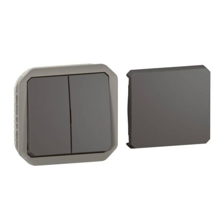 Transformeur étanche Plexo Legrand - Réversible 5 fonctions - Avec enjoliveur - Anthracite