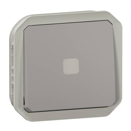 Interrupteur temporisé lumineux sans neutre Plexo Legrand - IP55 - 230V - A composer - Gris