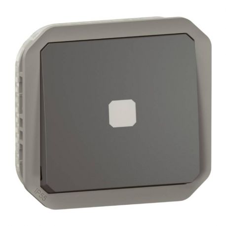 Interrupteur temporisé lumineux sans neutre Plexo Legrand - IP55 - 230V - A composer - Anthracite
