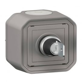 Commande de relayage réarmement Plexo Legrand - IP55 - Complet - En saillie - Gris