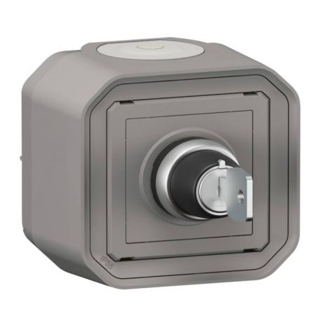 Commande de relayage réarmement Plexo Legrand - IP55 - Complet - En saillie - Gris