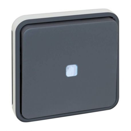 Mécanisme bouton poussoir lumineux Oxxo Eur'Ohm - 10A - IP 55 - Gris