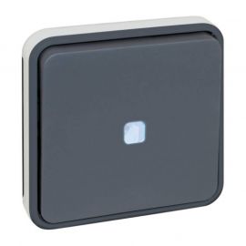 Mécanisme va et vient lumineux Oxxo Eur'Ohm - 10A - IP 55 - Gris