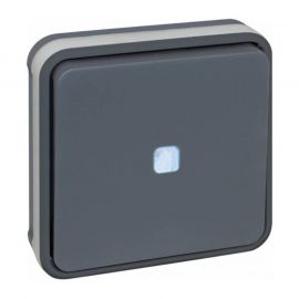 Bouton poussoir lumineux Oxxo - Eur'Ohm - 1 poste - 10A - Gris