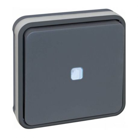 Bouton poussoir lumineux Oxxo - Eur'Ohm - 1 poste - 10A - Gris