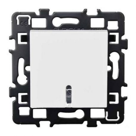 Va et vient lumineux et témoin Esprit 16A - Avec lampe 230V