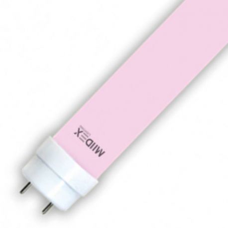 Lot de 10 tubes LED T8 Miidex - 24W - Rose - 1500 mm