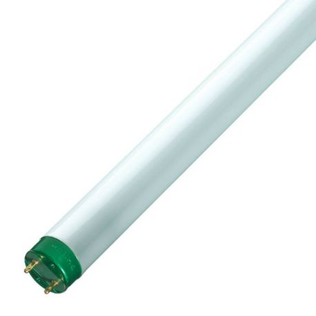 Tube fluorescents MASTER TL-D ECO G13 230V 16W