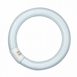 Tube fluorescent circulaire T9 Ledvance - G10Q - 34.1W - 4000K - Dimmable