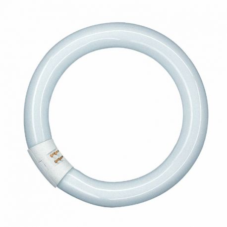 Tube fluorescent circulaire T9 Ledvance - G10Q - 34.1W - 4000K - Dimmable