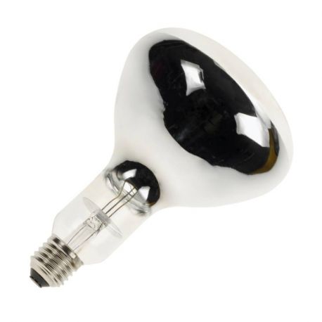 Ampoule infrarouge R125 Bailey - Avec réflecteur - E27 - 250W - 240V