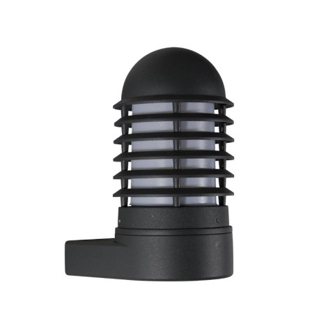 Applique extérieure Caleo 1 Aric - E27 - 75W - Graphite