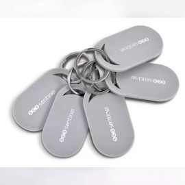 Lot de 5 badges RFID SCS Sentinel - 125kHz - avec attache porte-clés - Gris