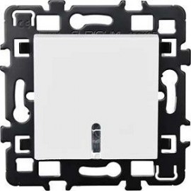 Poussoir à fermeture lumineux ou témoin Esprit 10A - Avec lampe 230V