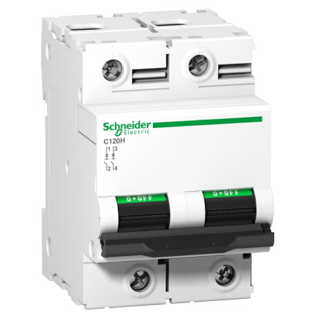 Disjoncteur Acti9 C120H Schneider Electric - 2P - 100 A - Courbe D