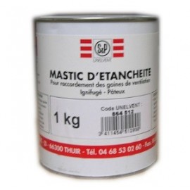 Mastic acrylique - 1Kg