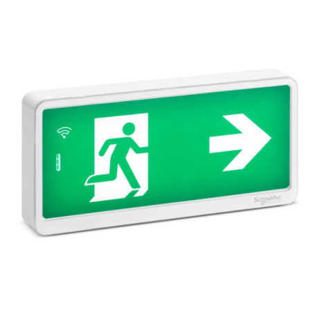 Bloc de secours BAES/BAEH Schneider Electric - SATI - IP65