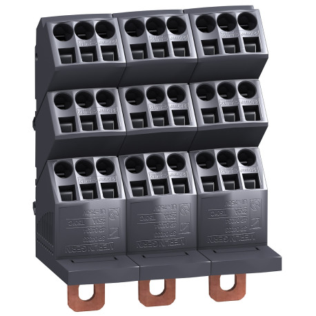 Répartiteur NSX Linergy DP Schneider Electric - 3P - 250A - 21 connexions