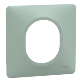 Plaque de finition Ovalis Schneider Electric - 1 poste - Sauge