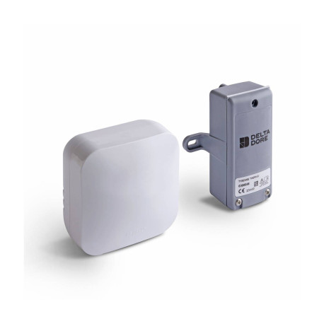 Pack sondes extérieures Tysense Outdoor Delta Dore - X3D - Pile Lithium 3.6V - 10mW