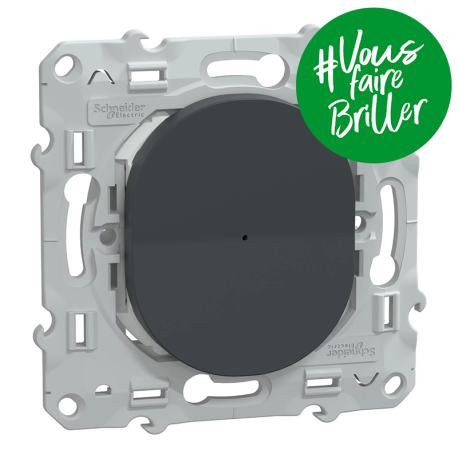 Bouton poussoir connecté Wiser Ovalis Schneider Electric - Génération 2 - 10A - Zigbee - Anthracite