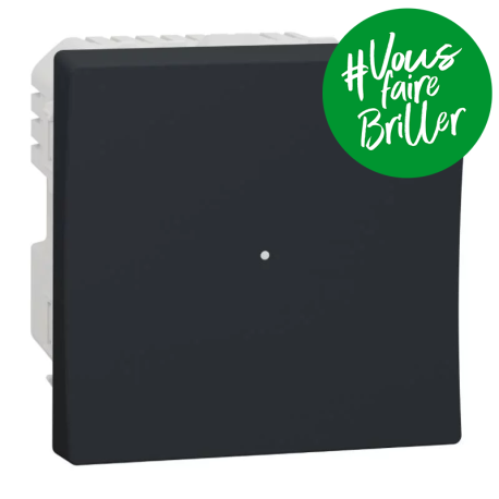 Bouton-poussoir NO Unica Wiser - 2 modules - 10A - Zigbee - Anthracite