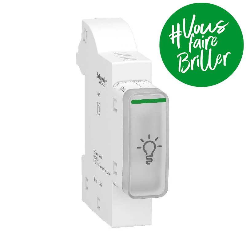 Schneider Electric Resi9 XE - Éclairage De Coupure LED R9ECL - Lumière D'Urgence Fiable Pour Tableau Électrique