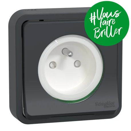 Prise de courant 2P+T Mureva Styl Schneider Electric - Encastrée - 16A - IP55 - Gris - Complet
