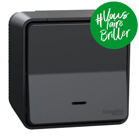 Interrupteur va et vient lumineux LED à connexion automatique IP55 IK08 - Saillie - Gris - Mureva Styl
