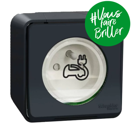 Prise de courant 2P+T renforcée IP55 IK08 connexion auto Schneider Electric - Saillie - Complet - Gris - Mureva Styl