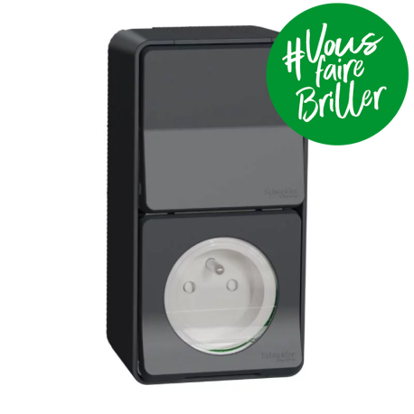 Prise courant 2P+T + va et vient vertical IP55 IK07 - En saillie - Gris - Mureva Styl