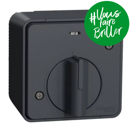 Interrupteur temporisé LED IP55 IK08 - En saillie - Gris - Mureva Styl