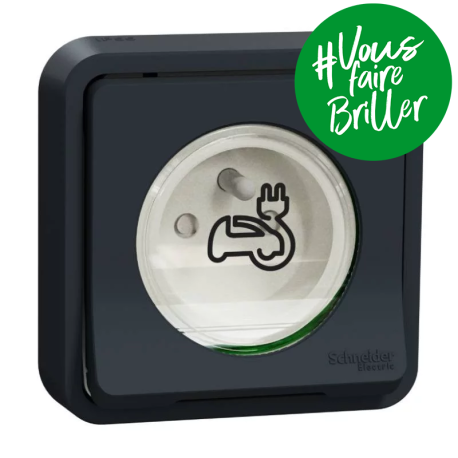 Prise de courant 2P+T renforcée IP55 IK08 Schneider Electric - Encastrée - Complet - Gris - Mureva Styl