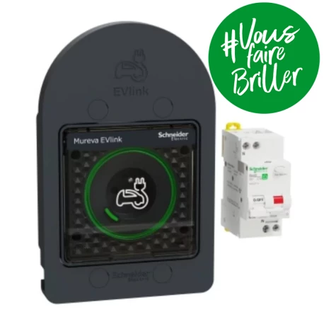 Prise 2P+T renforcée + protection Mureva EVlink Schneider Electric - Anthracite - IP66 - Saillie