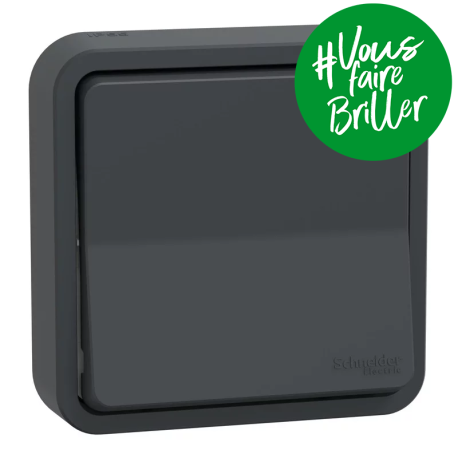Va-et-vient Mureva Styl Schneider Electric - Encastré - 10AX - IP55 - Gris - Complet