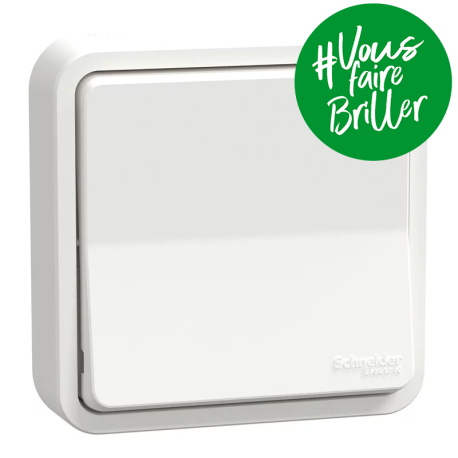Va-et-vient Mureva Styl Schneider Electric - Encastré - 10AX - IP55 - Blanc - Complet