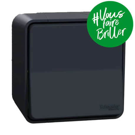 Interrupteur bipolaire à connexion automatique IP55 IK08 - Saillie - Gris - Mureva Styl