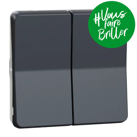Double bouton poussoir IP55 IK07 - Composable - Gris anthracite - Mureva Styl