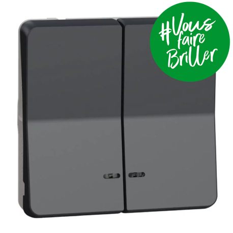 Double bouton poussoir lumineux LED IP55 IK07 - Gris anthracite - Mureva Styl