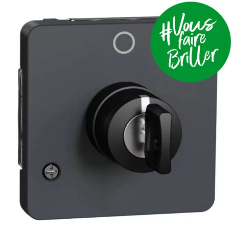 Interrupteur à clé 2 positions IP55 IK07 - composable - gris anthracite - Mureva Styl