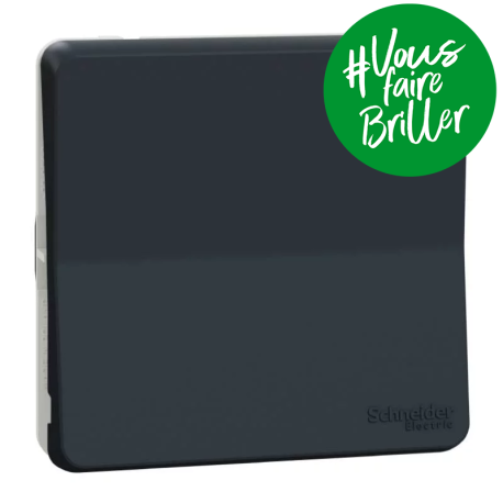 Permutateur à connexion automatique IP55 IK08 - Composable - Gris anthracite - Mureva Styl