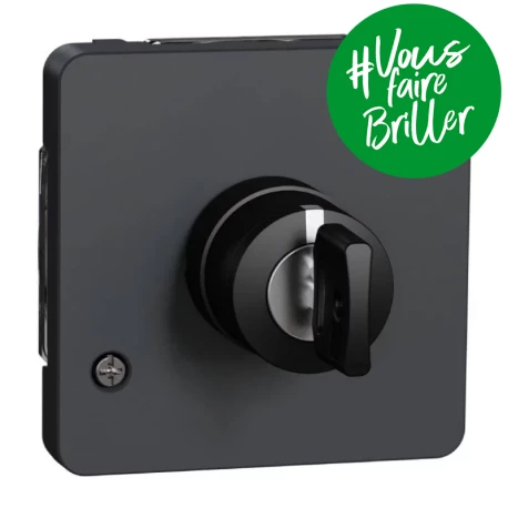 Interrupteur à clé 3 positions IP55 IK07 - Composable - Gris anthracite - Mureva Styl