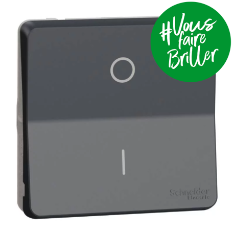Interrupteur bipolaire à connexion automatique IP55 IK08 - Composable - Gris anthracite - Mureva Styl