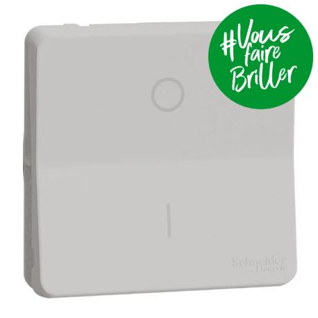 Interrupteur bipolaire à connexion automatique IP55 IK08 - Composable - Blanc - Mureva Styl