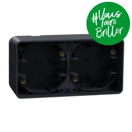 Boîte 2 poste IP55 IK08 - En saillie - Gris anthracite - Mureva Styl