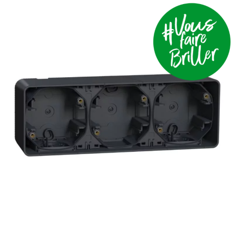 Boite 3 postes horizontale IP55 IK08 - En saillie - Gris anthracite - Mureva Styl