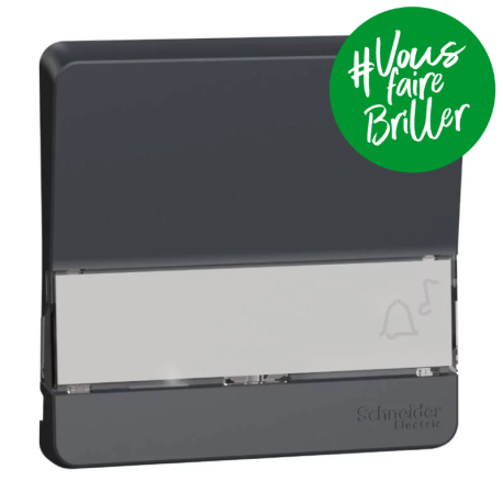 Enjoliveur porte-étiquette lumineux IP55 IK07 - Gris anthracite - Mureva Styl