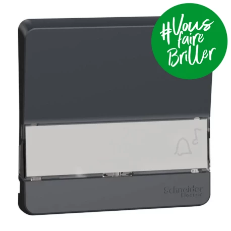 Enjoliveur porte-étiquette lumineux IP55 IK07 - Gris anthracite - Mureva Styl